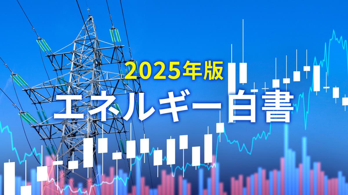 エネルギー白書2025年版」見どころ徹底解説、どれが有望？6つの次世代