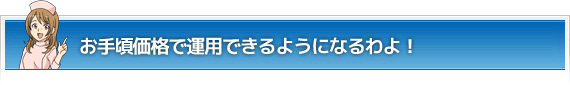 お手頃価格で
運用できるようになるわよ！