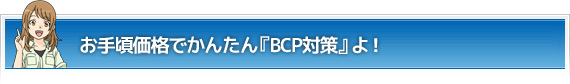 お手頃価格で
かんたん『BCP対策』よ！
