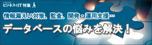 【特集】情報漏えい対策、監査、開発・運用支援…データベースの悩みを解決！