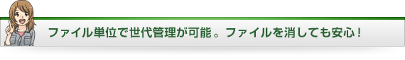 ファイル単位で世代管理が可能 。ファイルを消しても安心！ 