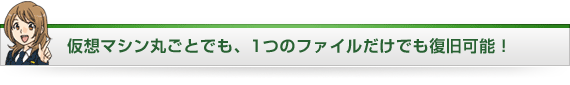 仮想マシン丸ごとでも、1つのファイルだけでも復旧可能！