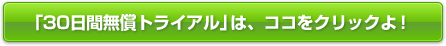 「30日間無償トライアル」は、ココをクリックよ！