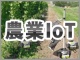 IoTによる農業革命、センサーネットワークは日本の農業を変えるのか?