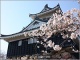 日本の働き方問題の原因は江戸時代にあり 「家庭より会社」な価値観のルーツとは