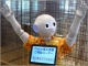 コミュニケーションロボット業界が先達から学ぶべき「道具は使いよう」
