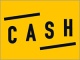 CASH騒動をプロジェクト工学で解析、そこから得られる教訓とは?
