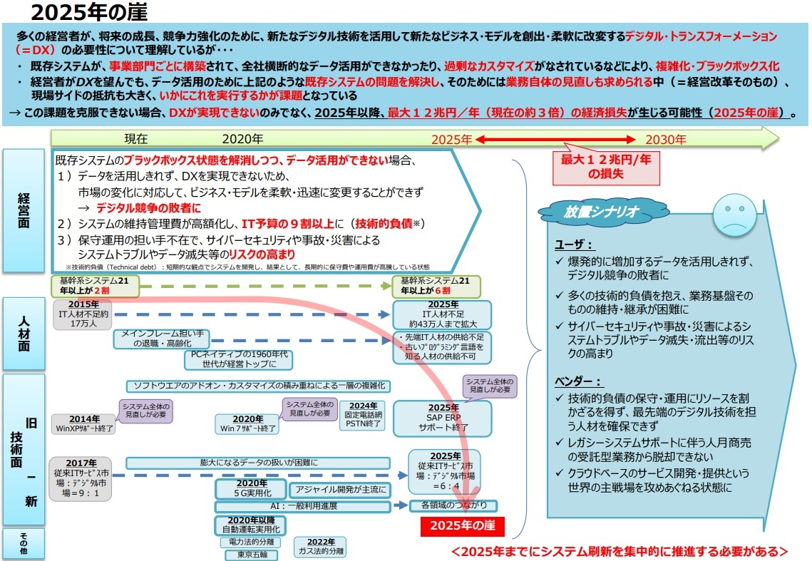 2025年の崖とは何か？