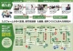 4つのプロセスを図解!営業支援システム「導入前」と「導入後」で組織はどう変わるのか