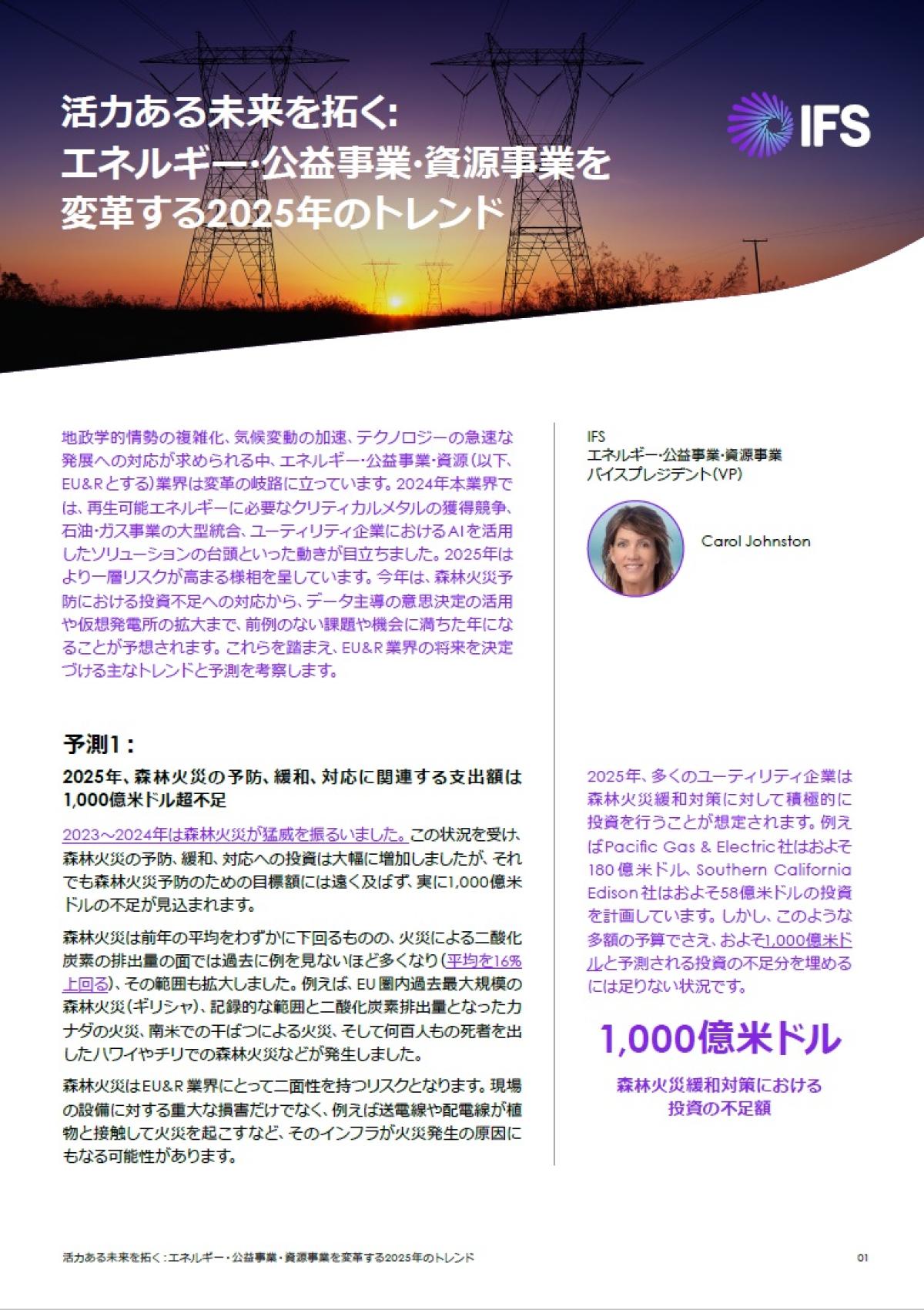 自然災害対策の予算は15兆円超の不足！エネルギー業界は危機的状況？再エネへの転換と対策強化の必要性